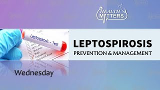 Leptospirosis Prevention amp Management  Health Matters  July 10 2024 [upl. by Lindberg]