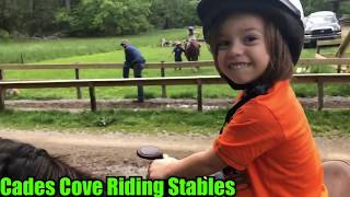 Cades Cove Riding Stables Amazing Horse Back Riding For Kids 3 Smoky Mountains National Park [upl. by Delora245]