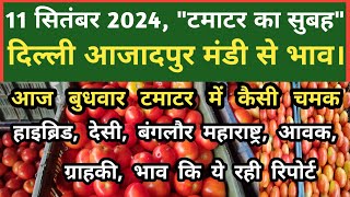 11 सितंबर 2024 टमाटर का भाव Azadpur Delhi Mandi Today delhifruitmarket tomato tomatoes dmt tv [upl. by Eniretac]