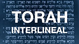 TORAH INTERLINEAL Hebreo  Español  PDF a Libre Descarga [upl. by Viccora268]