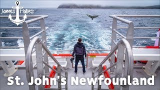 1 DAY IN St JOHNS NEWFOUNDLAND CANADA  Whale Watching amp Signal Hill  Barbster360 Travel Vlog [upl. by Colb496]