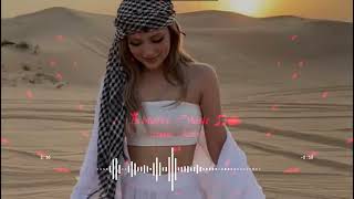 💗New Arabic Remix Song💗  arabic remix  arabic slowed reverb songs arabic music bass boosted [upl. by Yehus]