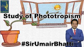 Study of Phototropism by Heliotropic Chamber  Study of Heliotropism  SirUmairBhatti [upl. by Jaqitsch]