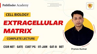 Extracellular matrix ECM  Cell Biology  Pranav Kumar  CSIR NET  GATE  CUET PG  IIT JAM [upl. by Lacee]