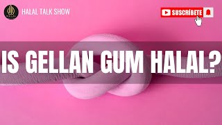 Is Gellan Gum Halal  Understanding Halal Food Ingredients  gellangum halal [upl. by Wesley]