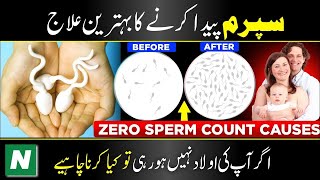 How to increase sperm count and quality  Low sperm count causes  Sperm count treatment [upl. by Seigler]