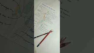 ANATOMY NOTES 📝 ✌🎯  MBBS  FIRST YEAR MEMORIES 💫♥️📚 [upl. by Averill]