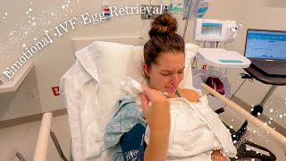 EMOTIONAL IVF Egg Retrieval Surgery  Egg Count [upl. by Pinkerton]