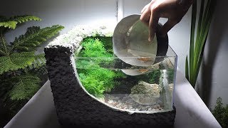 Foam box Aquarium DIY with Fish very low cost  Aquarium Paralon [upl. by Medora]