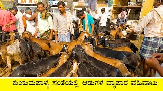 Goats on sale in Kunkumpalya market [upl. by Imoian]