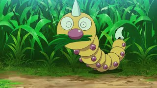 013 Weedles first appearance in the anime shorts pokemon anime [upl. by Pufahl]