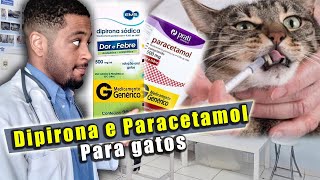 DIPIRONA para gatos e PARACETAMOS para GATOS  Cuidado [upl. by Skyler]