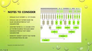 USING X DNA TO DETERMINE RELATIONSHIPS [upl. by Aviv]