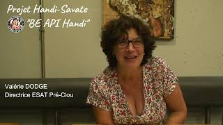 Interview HandiSavate 1  Valérie Directrice dESAT [upl. by Slinkman]