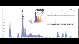 MAVEN2 An updated opensource mass spectrometry exploration platform [upl. by Onairpic239]