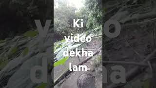 Ki go video bollywood my vairall [upl. by Ekram784]