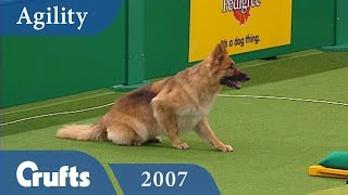 ABC Agility Final from Crufts 2007  Crufts Classics [upl. by Septima]