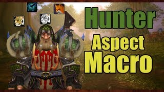 World of Warcraft Patch 504 Aspect Macro [upl. by Rector860]