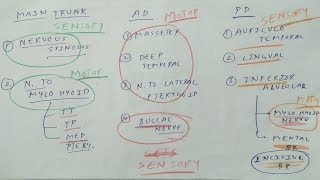 Trigeminal Nerve  Part 3  Mandibular Division  NeuroAnatomy  The Charsi of Medical Literature [upl. by Hawthorn83]