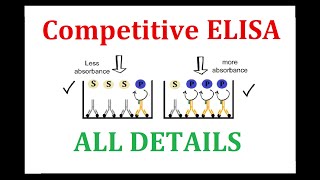 Competitive ELISA [upl. by Aninad]