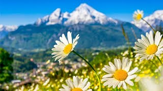 Switzerland AMAZING Beautiful Nature with Soothing Relaxing Music 4k Ultra HD by Tim Janis [upl. by Samid]