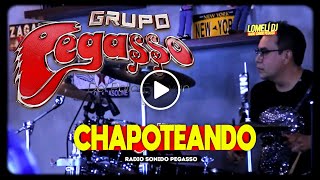 2021  Grupo PEGASSO  CHAPOTEANDO  Zagar desde el bar  Pegasso [upl. by Ralyat330]