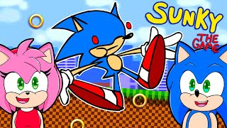 Sonic and Amy TROLLED by Sunky the Game [upl. by Ahsemed70]