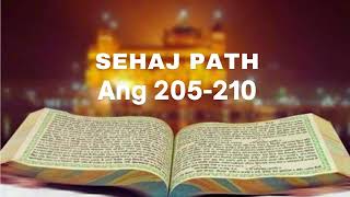 SEHAJ PATH 205210  Guru Granth Sahib Ji [upl. by Einolem906]