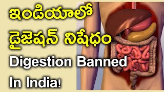 డైజెషన్ ని బ్యాన్ చేసిన ఇండియా  Digestion Is Banned In India [upl. by Llemert726]