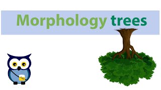 Morphology trees [upl. by Mateusz]