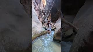 The Best Hike to Kanarra Falls Waterfalls in Utah Shorts Hiking [upl. by Treblig]