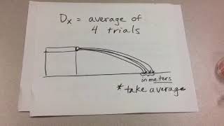 Bulls eye pre lab [upl. by Dachia]