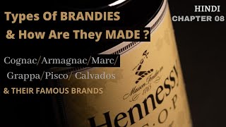 Types Of Brandies amp How Are They Made CognacArmagnacMarcGrappaPiscoCalvados CHAPTER 08 [upl. by Pavier]