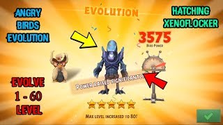 Angry Birds Evolution  Xenoflocker Hatching and 0 to 60 Evolve [upl. by Otnicaj448]