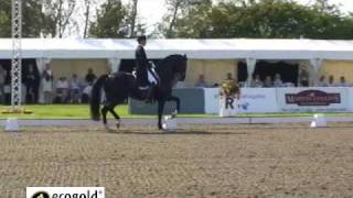 Edward Gal on Moorlands TotilasGrand Prix CDI5 Hickstead [upl. by Eislrahc129]