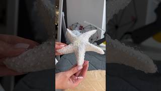 Cardboard  papiermâché starfish ⭐️shorts diyprojects handmade tutorial diy processart [upl. by Ikkim]