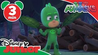 PJ Masks  Gekko Floats  Disney Junior UK [upl. by Gualterio]