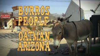 The Burros amp People of Oatman Arizona [upl. by Avid]