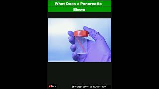 What Does a Pancreatic Elastase Test Measure and What Do the Results MeanShorts [upl. by Aimal]