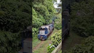 Trem de passageiros Litorina saindo do Túnel passeio Curitiba Morretes trem train morretes [upl. by Lednahc]