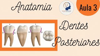 ANATOMIA COMUM AOS DENTES POSTERIORES [upl. by Eliason]