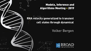 MIA Volker Bergen RNA velocity generalized to transient cell states through dynamical modeling [upl. by Sayed40]