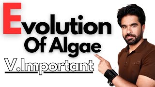 Evolution Of Algae [upl. by Platas638]