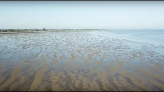 De toekomst van de Waddenzee zeespiegelstijging bodemdaling en sedimentatie in de Waddenzee [upl. by Nnaeed]