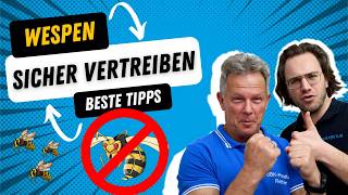 Wespen EFFEKTIV vertreiben  alles was du JETZT wissen musst 👈🆘 [upl. by Ethelyn]