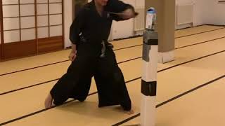 Tameshigiri Nito Ryu Katana amp Wakizashi Nukiuchi Iaido Genko Nito Ryu [upl. by Aihseken148]