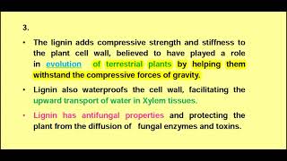 Lignin  plant cell wall material [upl. by Fabiano]