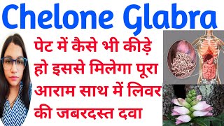 Chelone Glabra  Chelone Glabra Homeopathic Medicine  पेट में कीड़ों की अचूक दवा  लिवर की दवा [upl. by Enneite]