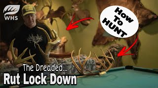 How To Hunt The Rut Lock Down [upl. by Herwin]