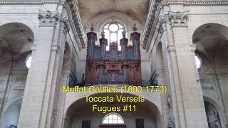 Muffat Gottlieb Toccata VersetsFugues 11 [upl. by Ardnu]